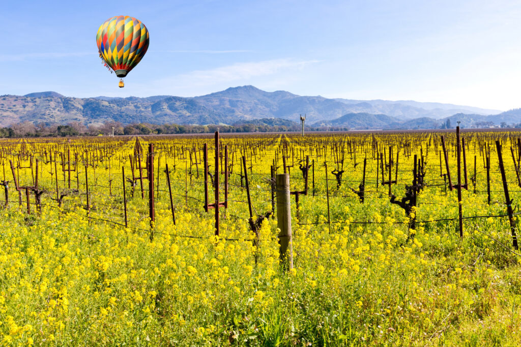 The Ultimate Napa Valley Thanksgiving 2022 Getaway 4